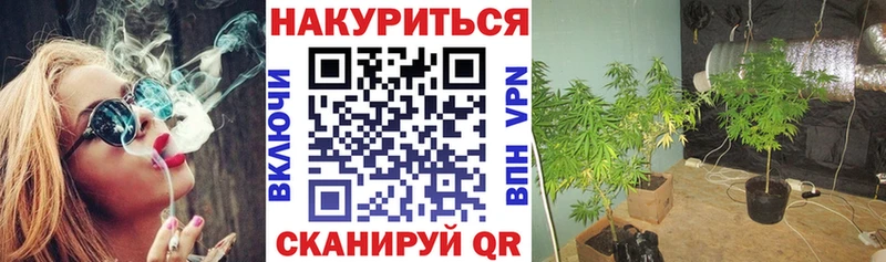 Шишки марихуана ГИДРОПОН  Иваново 